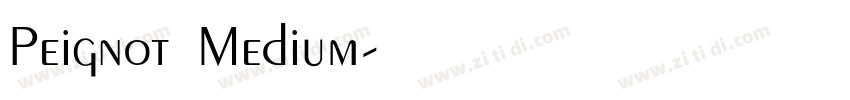 Peignot Medium字体转换